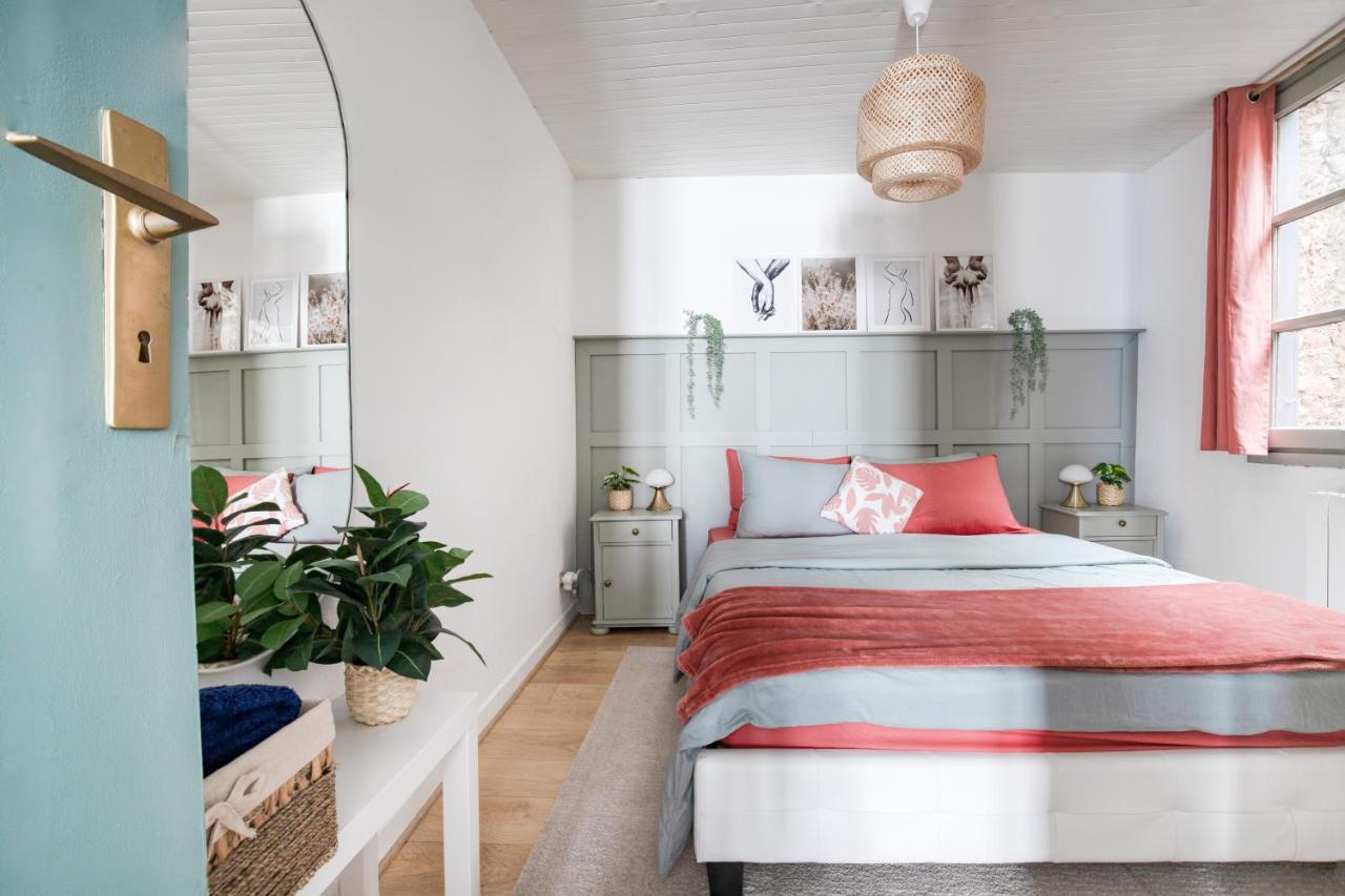 Appartement Lumineux 1 Chambre Hypercentre Place St Jean วาลองซ์ ภายนอก รูปภาพ